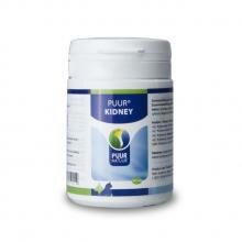 Puur Kidney 300 tabletten 