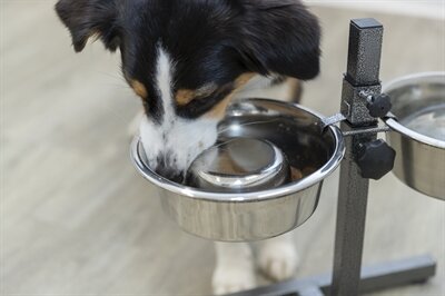 Trixie voerbak hond slow feeding rvs